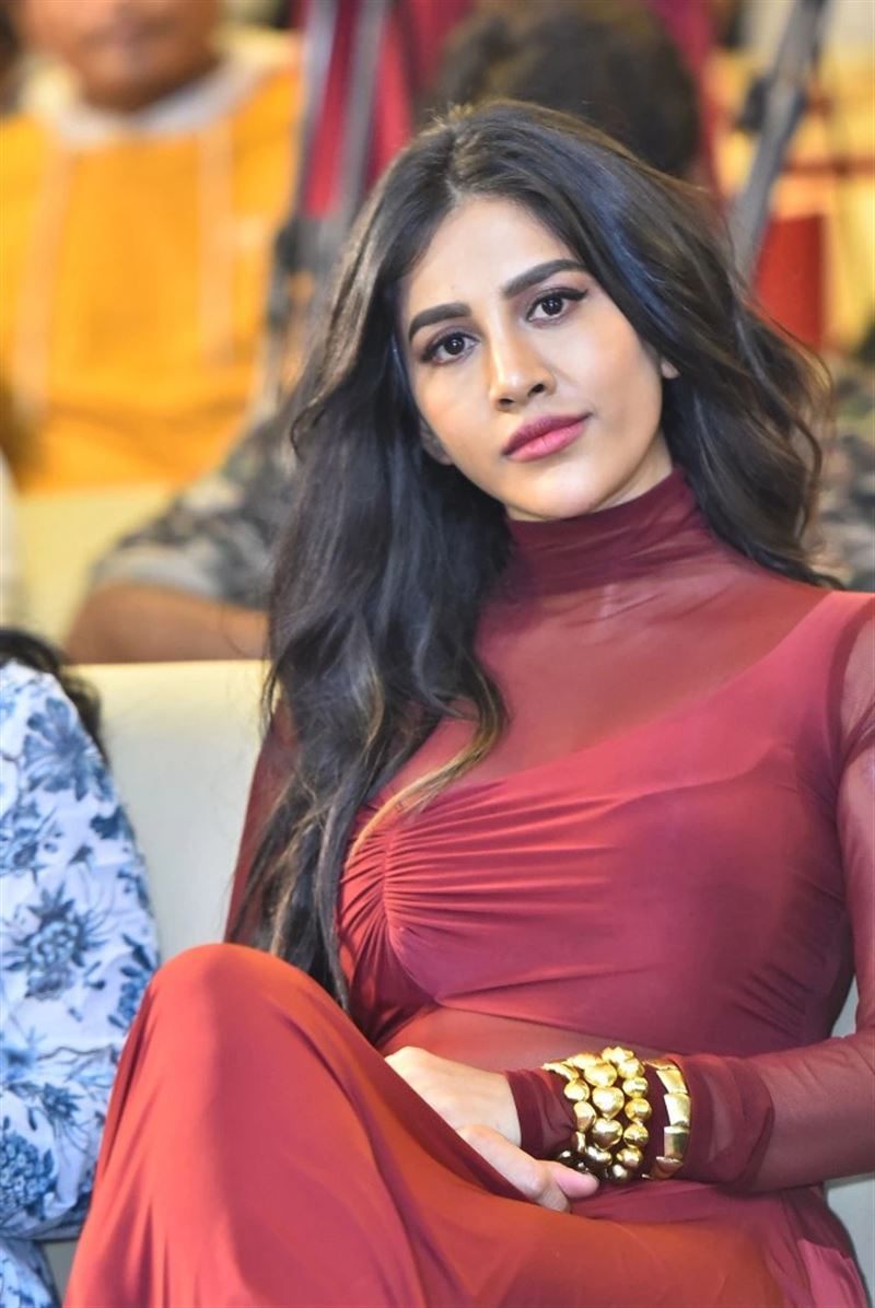 Telugu Actress Nabha Natesh in Maroon Dress